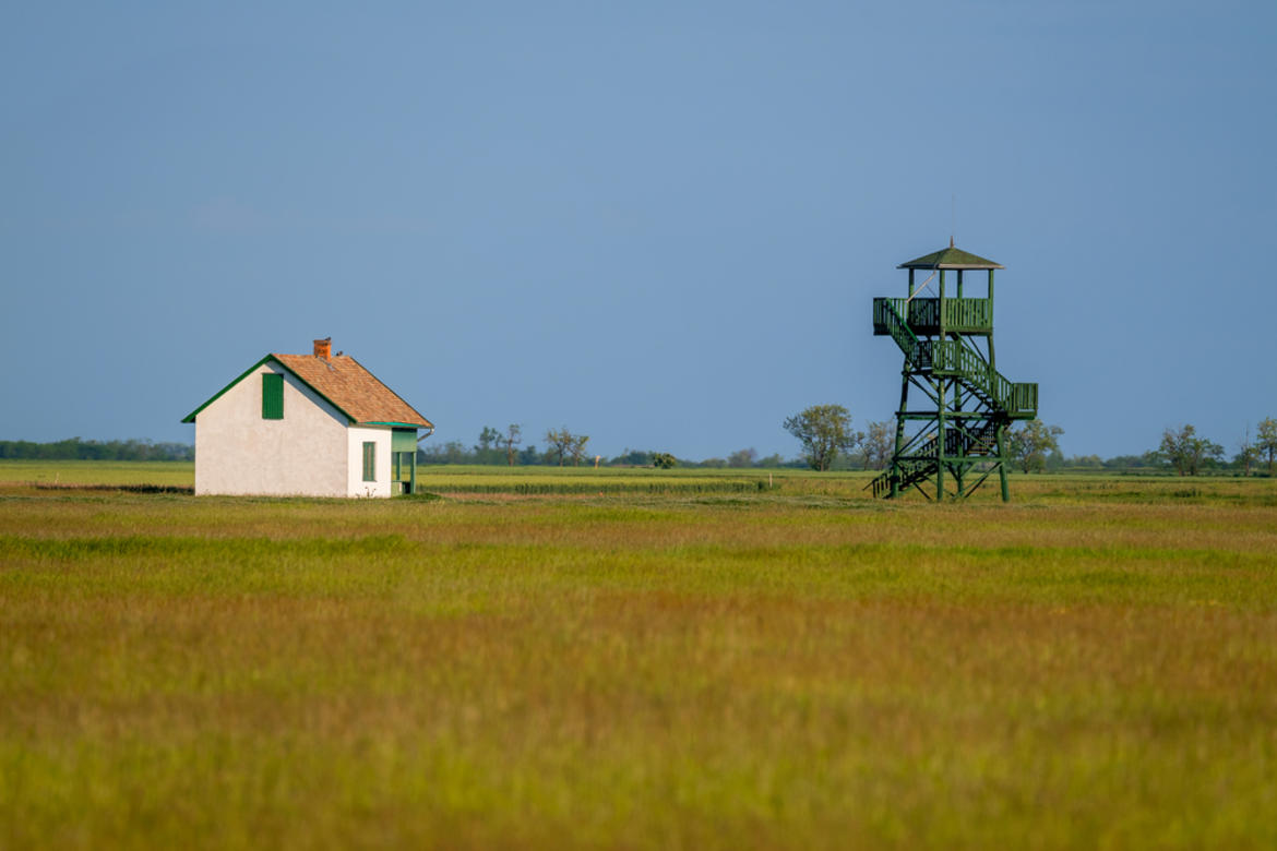 countryside in Hungary