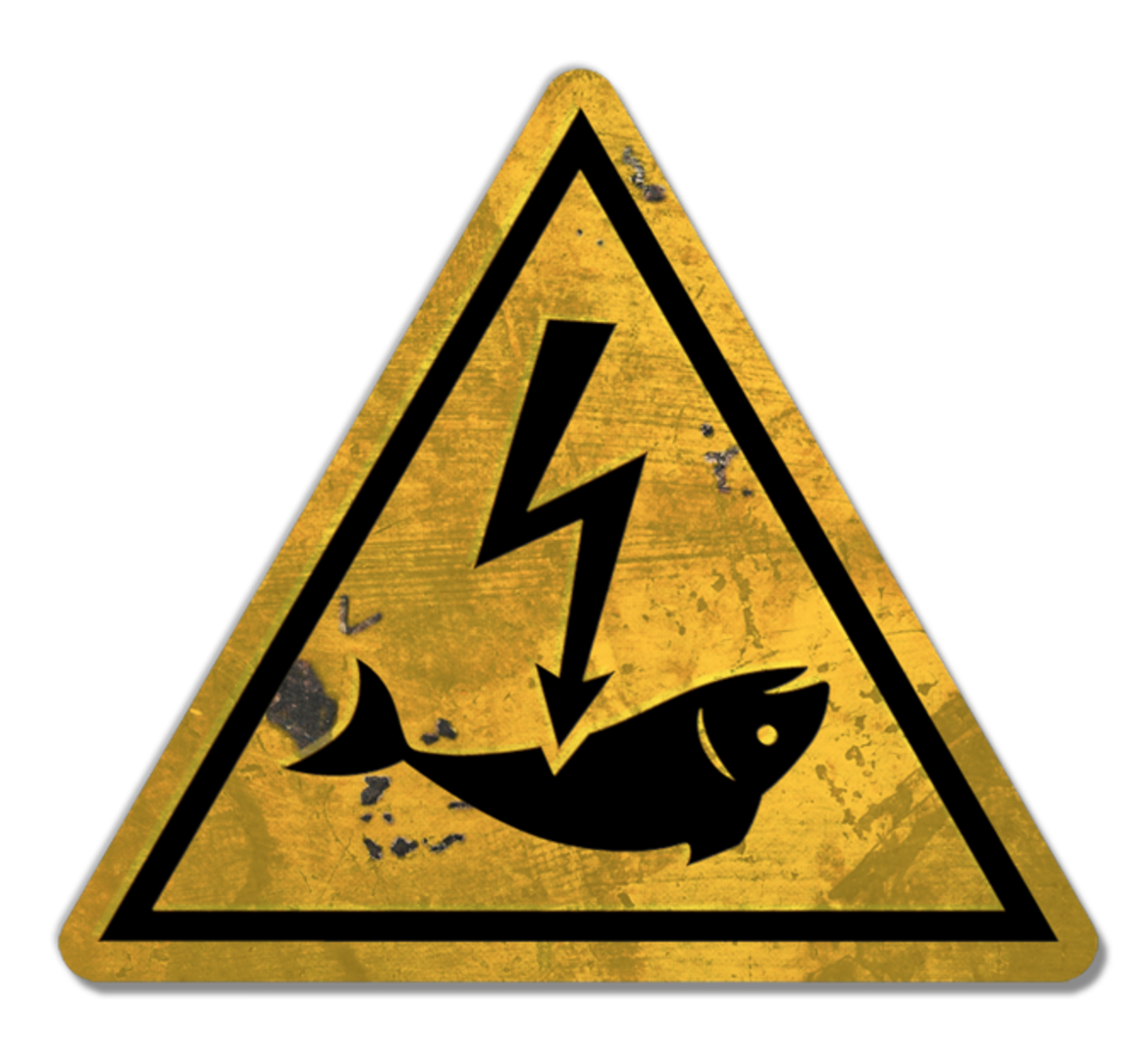 Electric fishing puts to the test a democratic and Green Europe_62ccb3d2e46b2.png