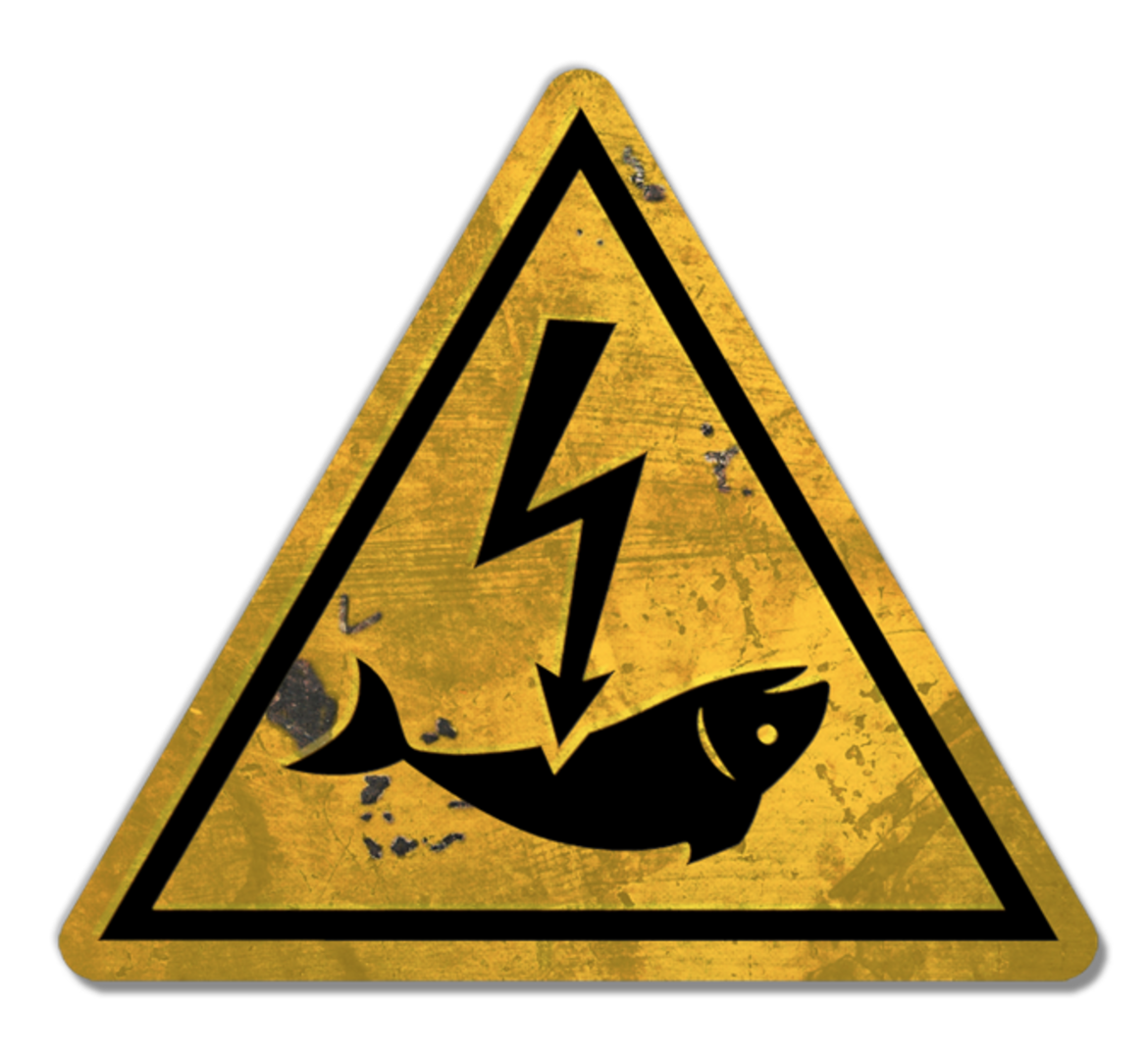 Electric fishing puts to the test a democratic and Green Europe