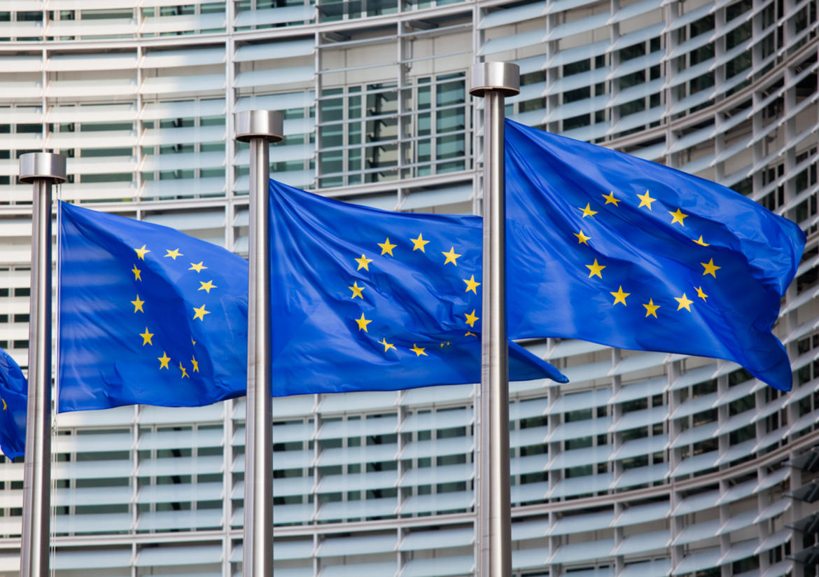 EU infringement procedures: November 2020 update_62cca79691c6c.jpeg