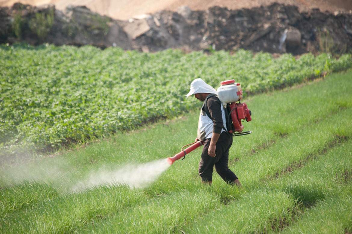 If Brussels wants to reduce fertilisers and pesticides_62cca4af99704.jpeg If Brussels wants to reduce fertilisers and pesticides_62cca4af99704.jpeg