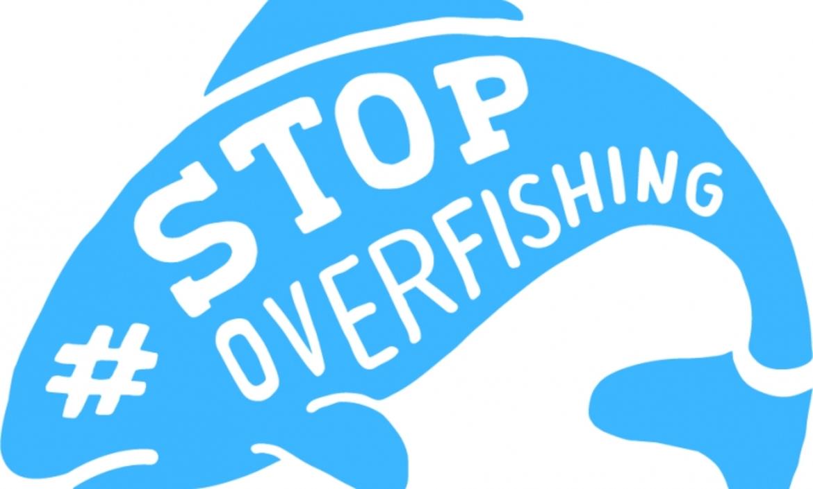 Il Parlamento europeo deve proteggere il Mediterraneo dalla pesca intensiva_62cf15d499e16.jpeg