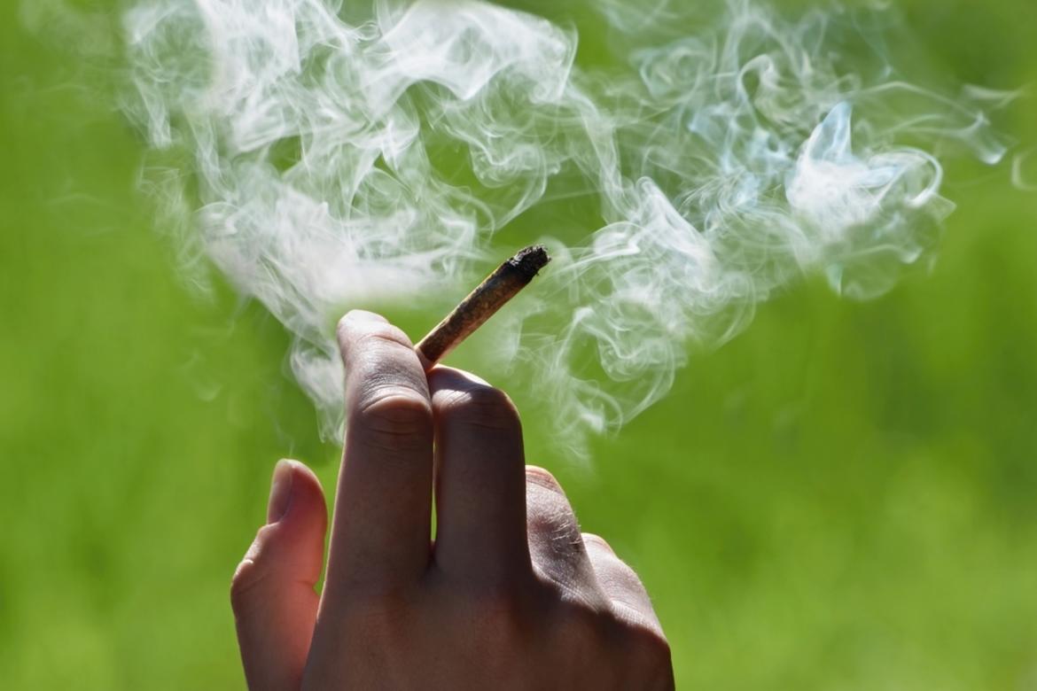 Prison does not deter European cannabis users_62cca4c4b114a.jpeg Prison does not deter European cannabis users_62cca4c4b114a.jpeg