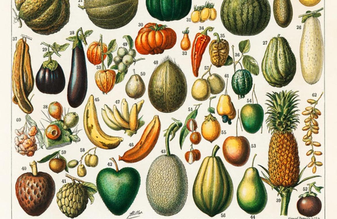 Fruits And Vegetables From Nouveau Larousse Illustre