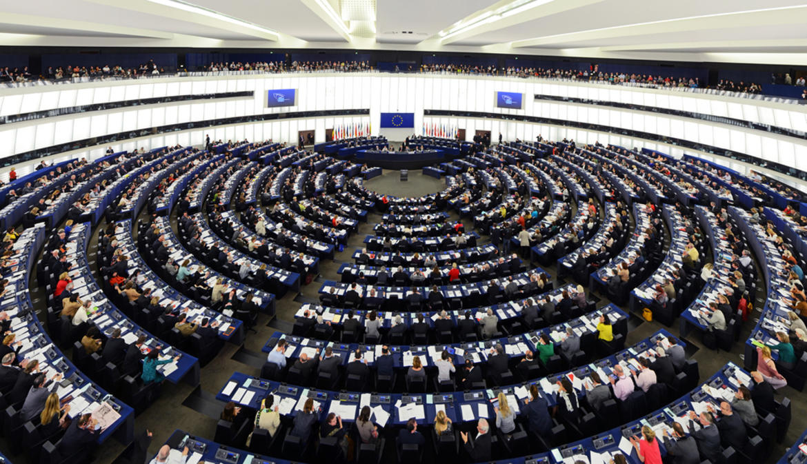 The murky perks of an MEP_62ccb041dc56b.jpeg The murky perks of an MEP_62ccb041dc56b.jpeg