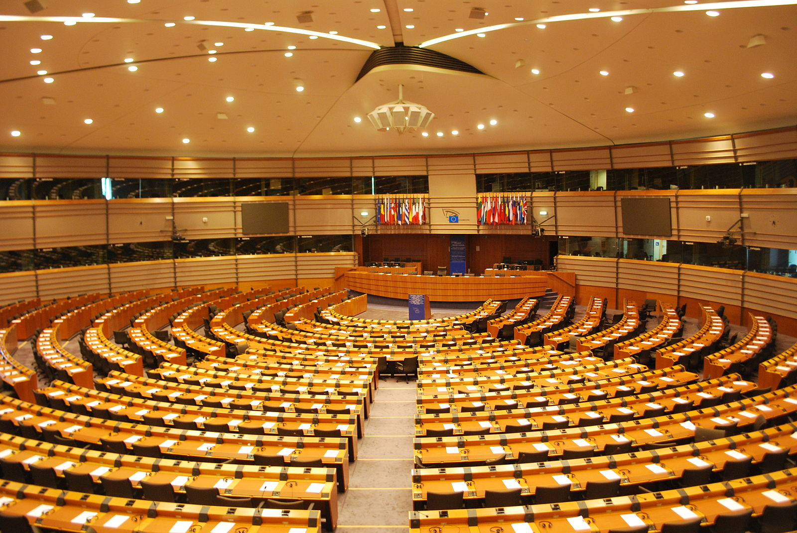 What-is-the-EU-doing-to-stop-femicide.jpg What-is-the-EU-doing-to-stop-femicide.jpg