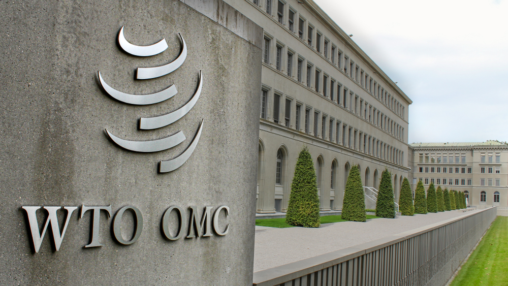 Should-the-EU-be-blamed-for-the-downfall-of-the-WTO.jpg