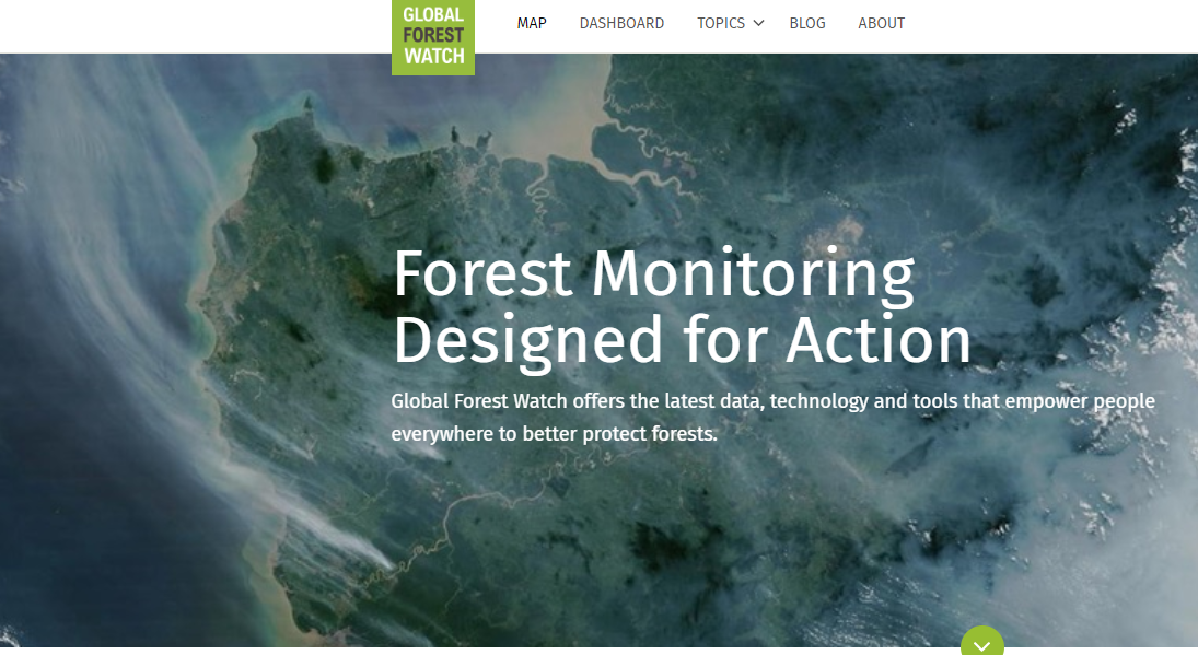 Global-Forest-Watch-GFW.png Global-Forest-Watch-GFW.png