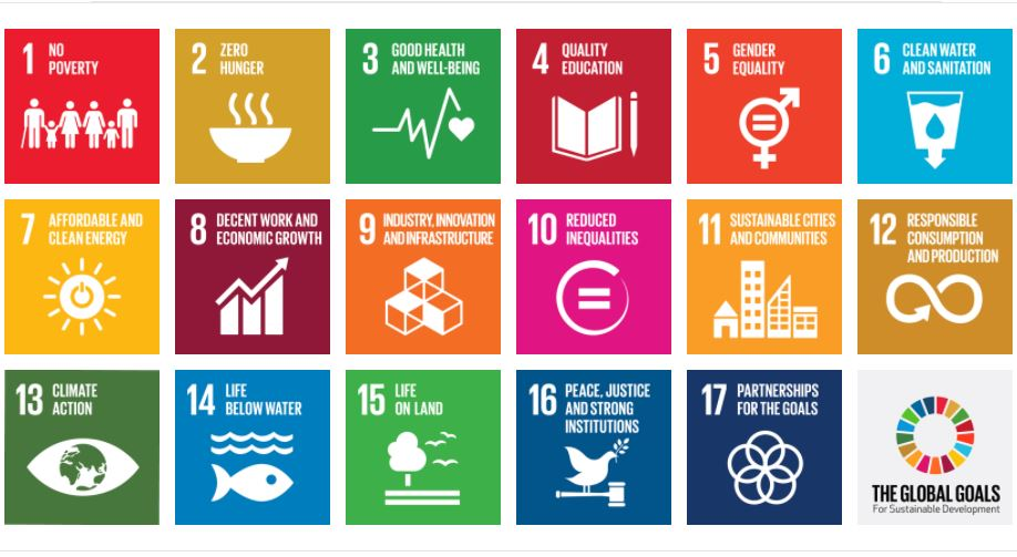Progress-towards-the-Sustainable-Development-Goals.jpg