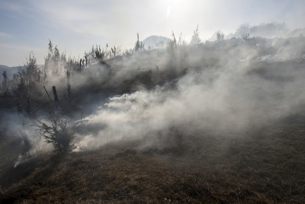 shutterstock_406138099 forest fire