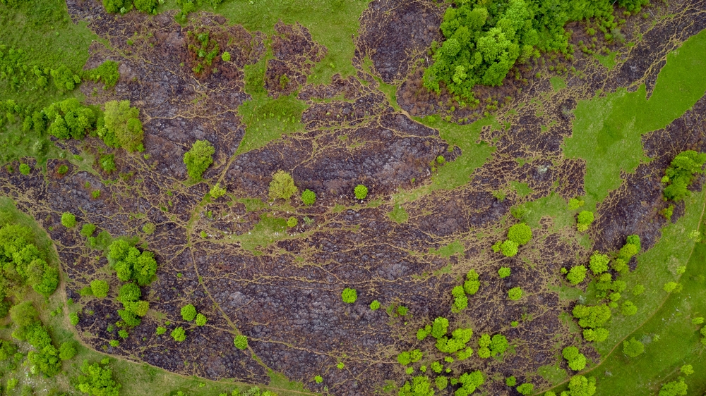 Aerial,View,Of,A,Burned,Field,After,Illegal,Fire,Provoked