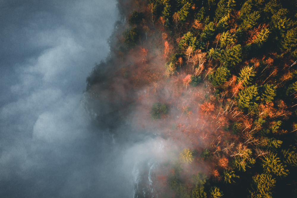 Amazing,Aerial,View,Of,Foggy,And,Colorful,Forest,On,Sunrise.