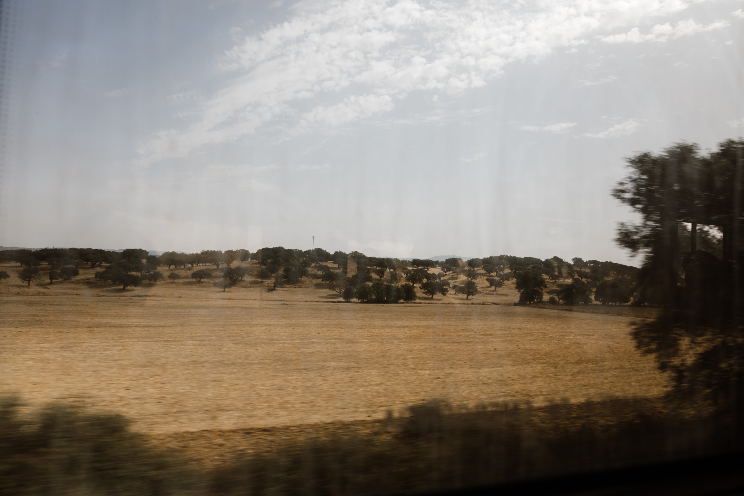 Copia de madrid reportagem ferrovia comboio-0307